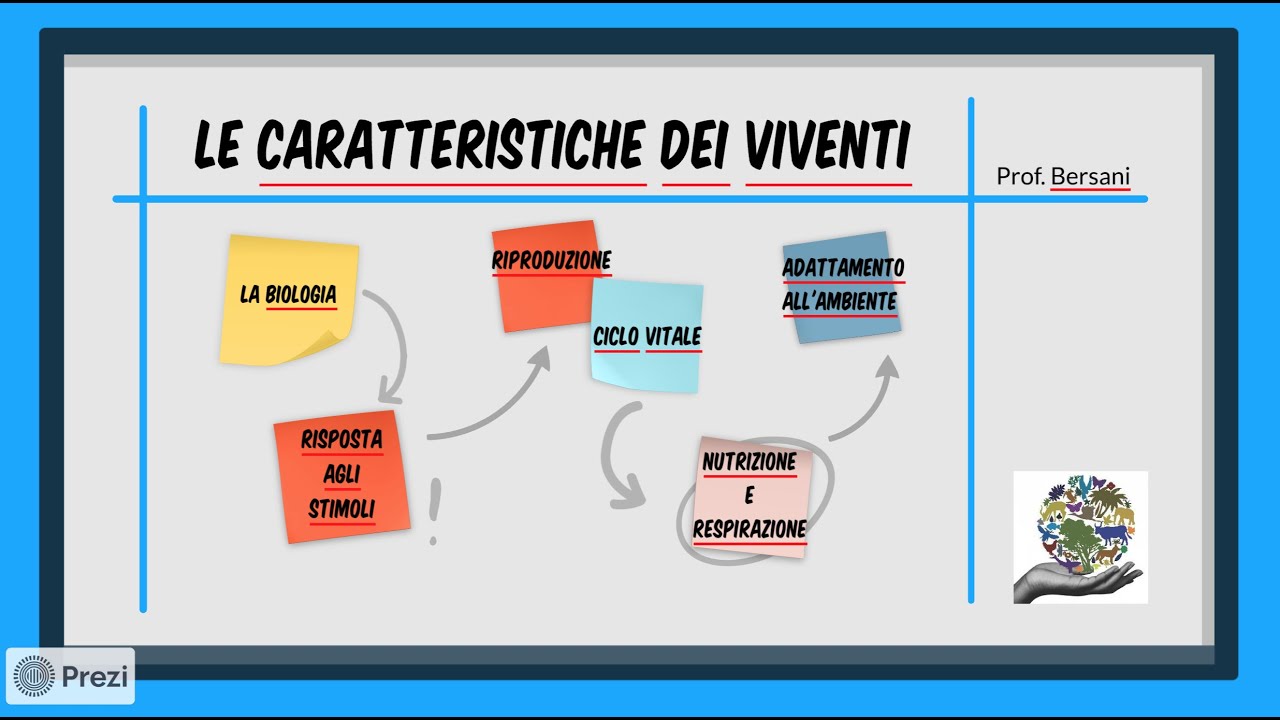 - Caratteristiche di ‍un Programma di ​Formazione Efficace